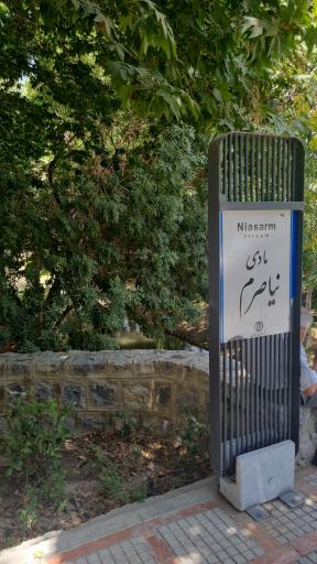 عکس مادی نیاصرم 