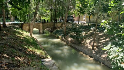 عکس مادی نیاصرم 