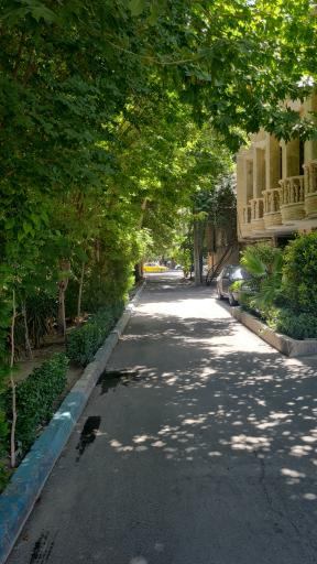 عکس مادی نیاصرم 