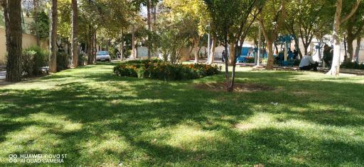 عکس بوستان علوی