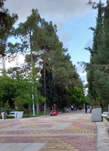 عکس بوستان علوی