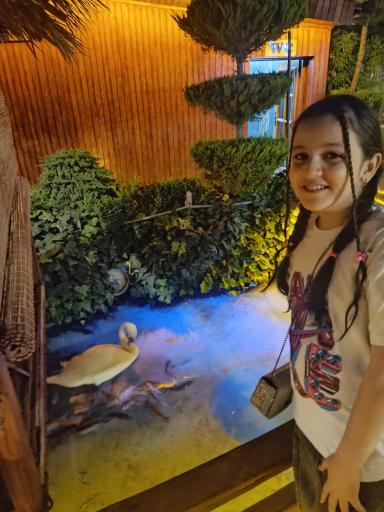 عکس کافه رستوران قو سفید