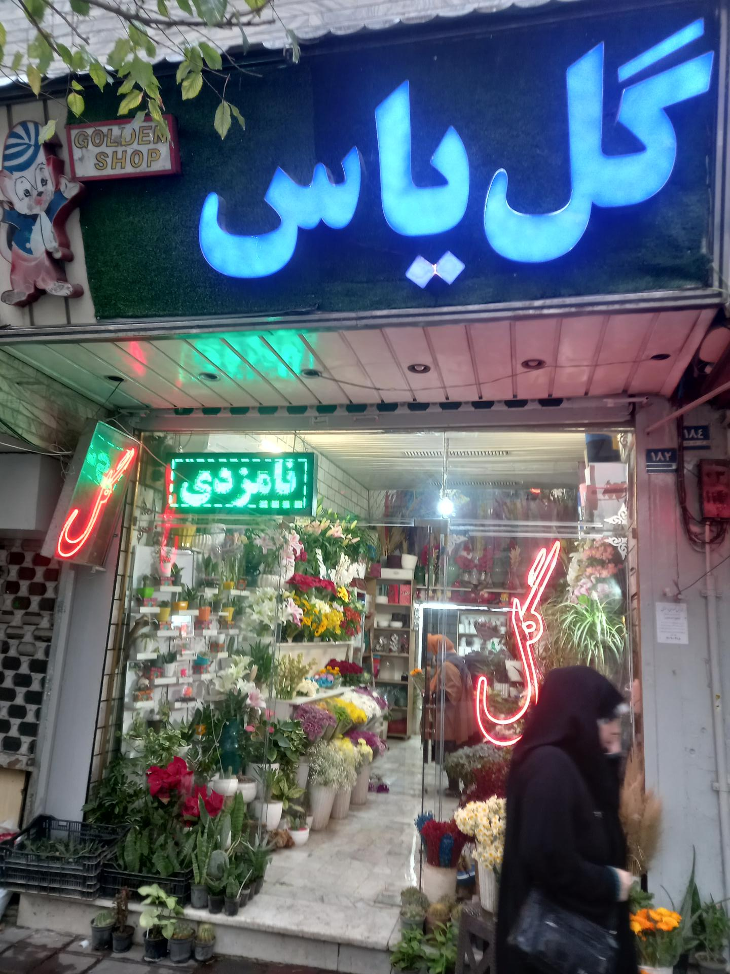 عکس گل یاس