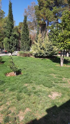 عکس بوستان علوی