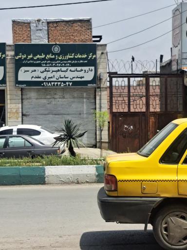 داروخانه گیاه پزشکی هنر سبز 