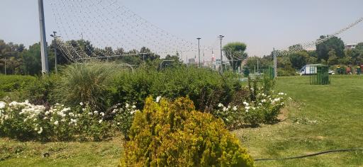 عکس میدان شهید بروجردی