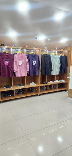 عکس روپوش پالمیرا