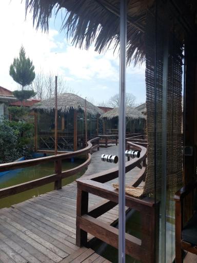 عکس کافه رستوران قو سفید