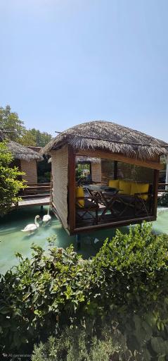 عکس کافه رستوران قو سفید