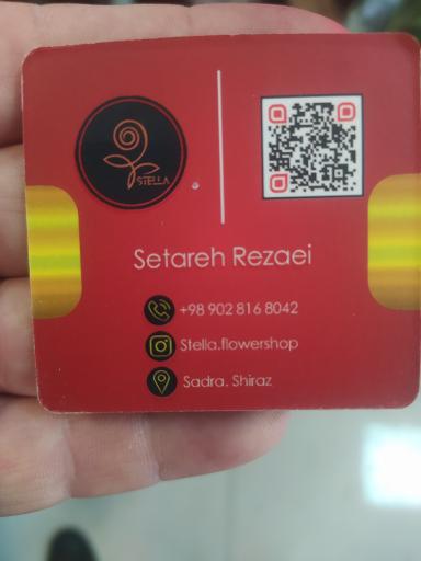 عکس گالری گل استلا