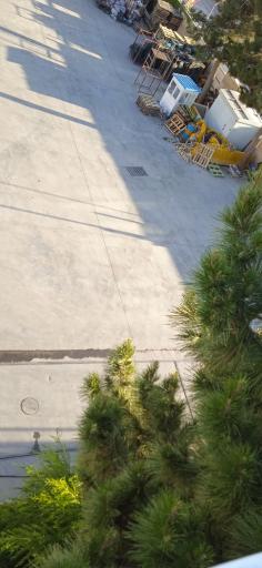 عکس سردخانه نگین