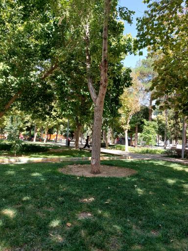 عکس بوستان علوی