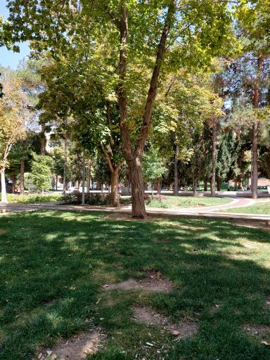 عکس بوستان علوی