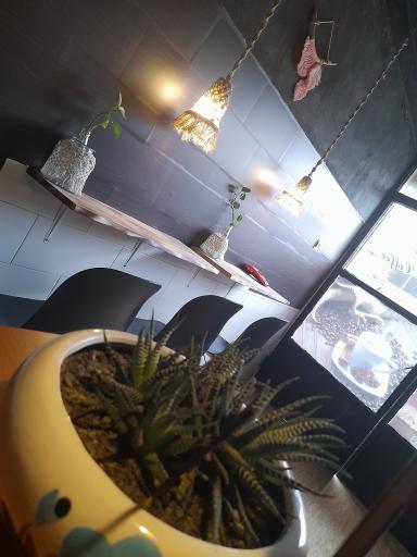 عکس قهوه بهنود