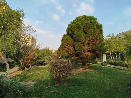 عکس پژوهشگاه پلیمر و پتروشیمی ایران