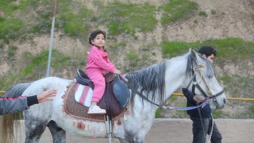 باشگاه سوار کاری مهر آذین و شایگان