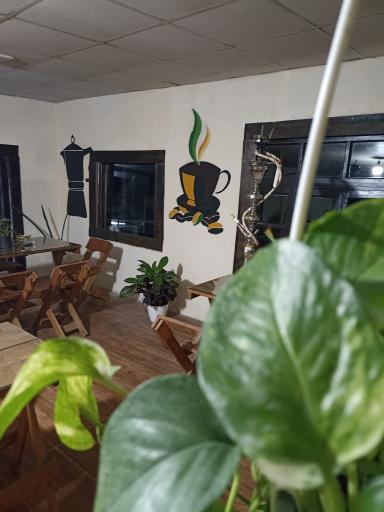 عکس باشگاه سوار کاری مهر آذین و شایگان