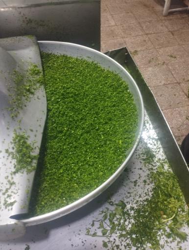 عکس پخش سبزیجات حسن پور
