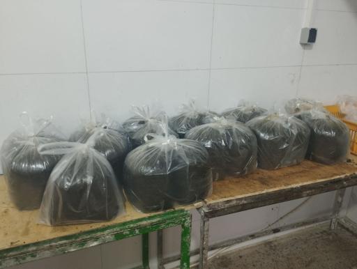عکس پخش سبزیجات حسن پور