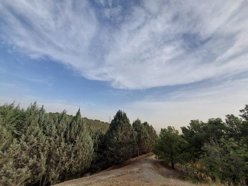 عکس بوستان لویزان