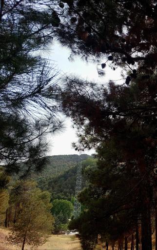 عکس بوستان لویزان