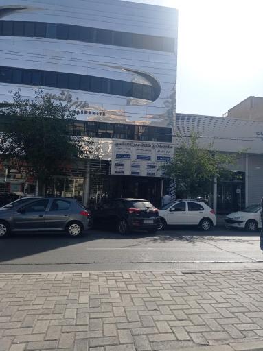 عکس دکتر سیده مریم مرشدی شعر باف