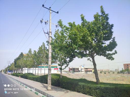 عکس فروشگاه رفاه(گلبهار)