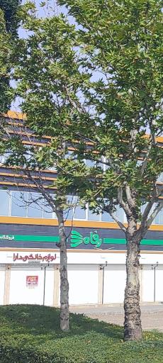 عکس فروشگاه رفاه(گلبهار)