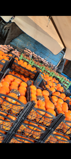 عکس میوه و تره بار بهارستان