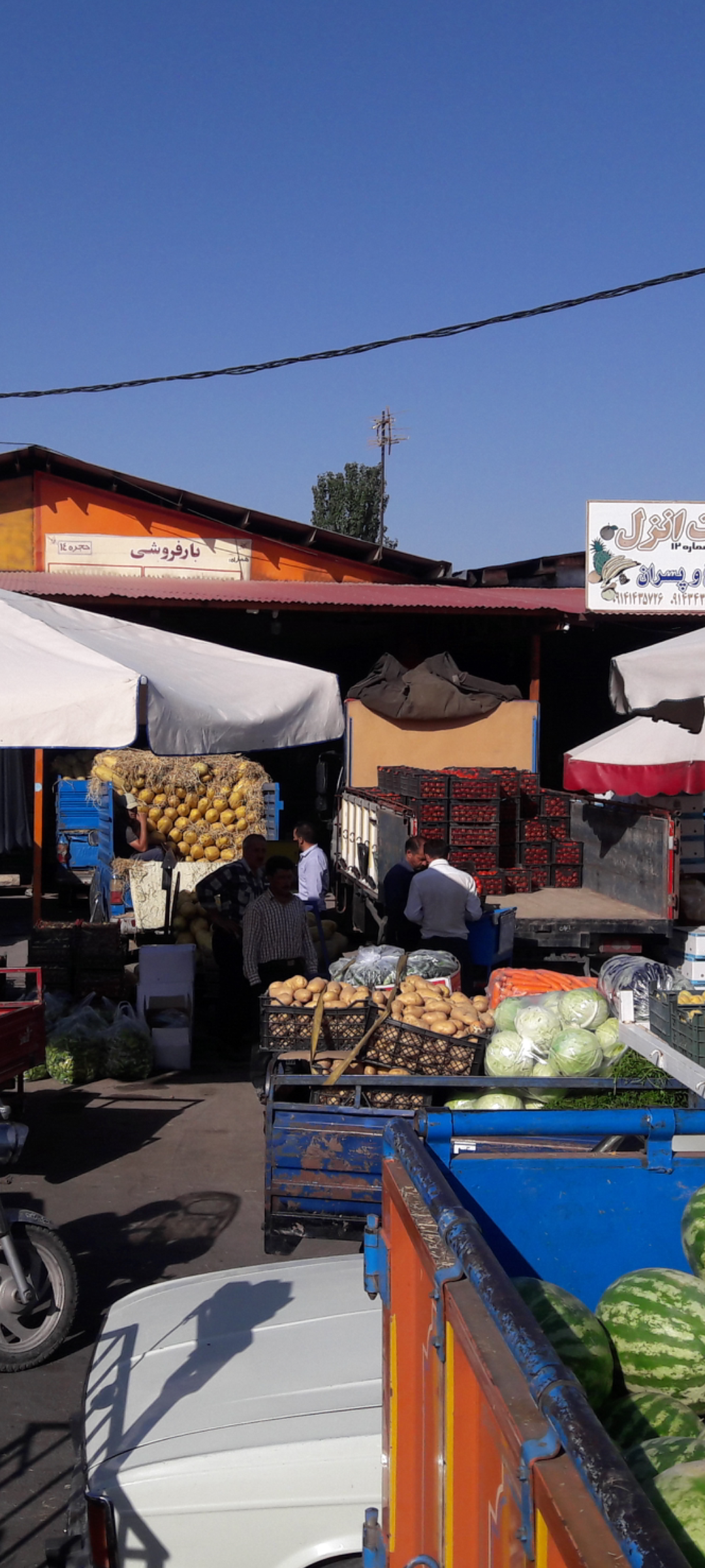 عکس میوه و تره بار بهارستان