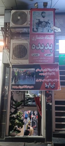 عکس باشگاه بدنسازی پدیده
