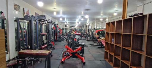 عکس باشگاه بدنسازی پدیده