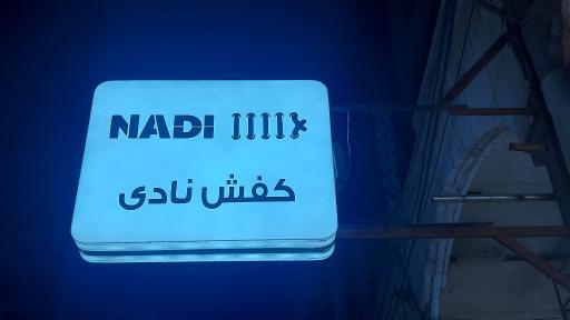 عکس کیف و کفش نادی