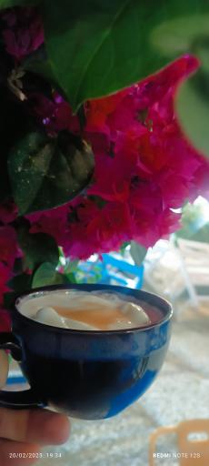 عکس رستوران اربیان تی هاوس