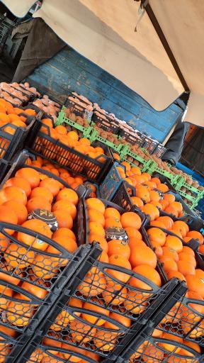 عکس میوه و تره بار بهارستان