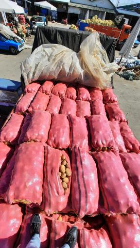 عکس میوه و تره بار بهارستان