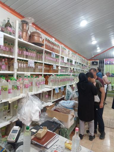 عکس گلابگیری طالاری