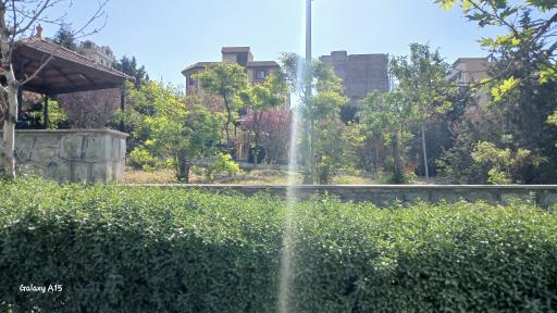 عکس بوستان کنگان