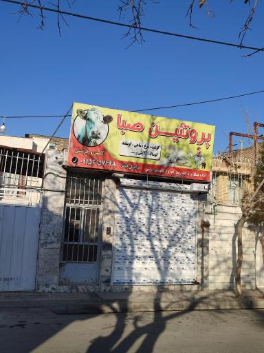 عکس پروتئین صبا