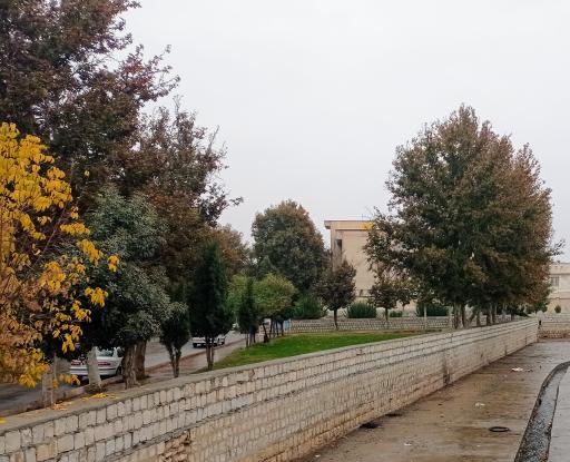 عکس بوستان امام