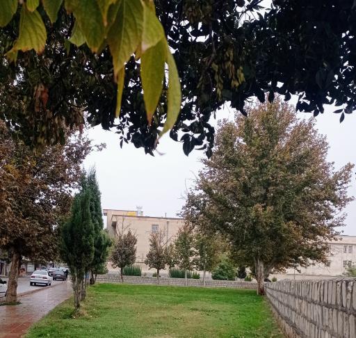 عکس بوستان امام