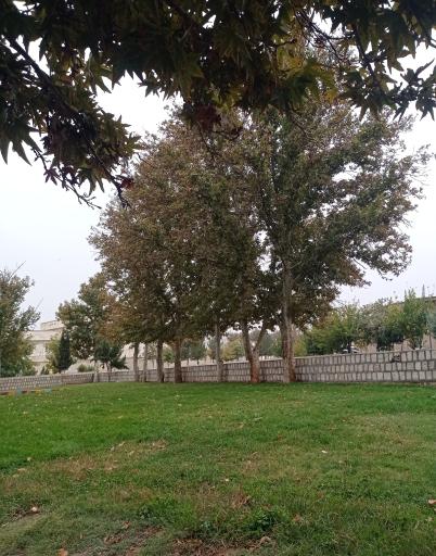 عکس بوستان امام