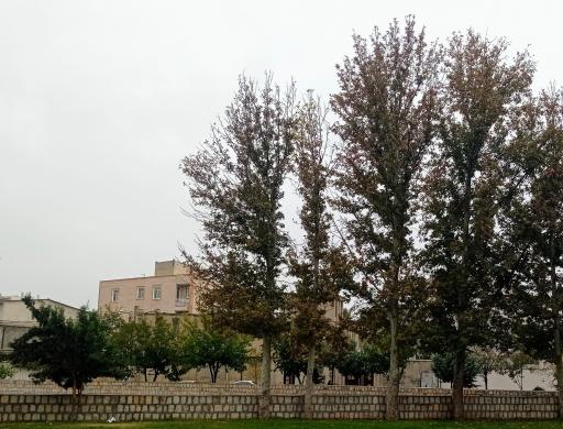 عکس بوستان امام