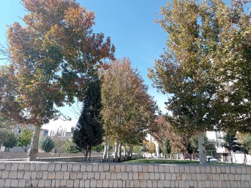 عکس بوستان امام