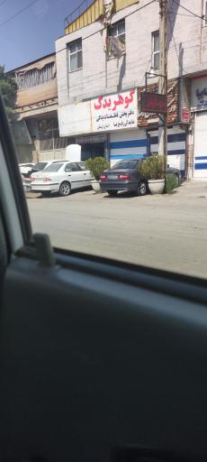 عکس گوهر یدک شریعتی