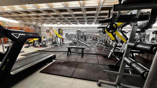 باشگاه بدنسازی برادران عبدی 