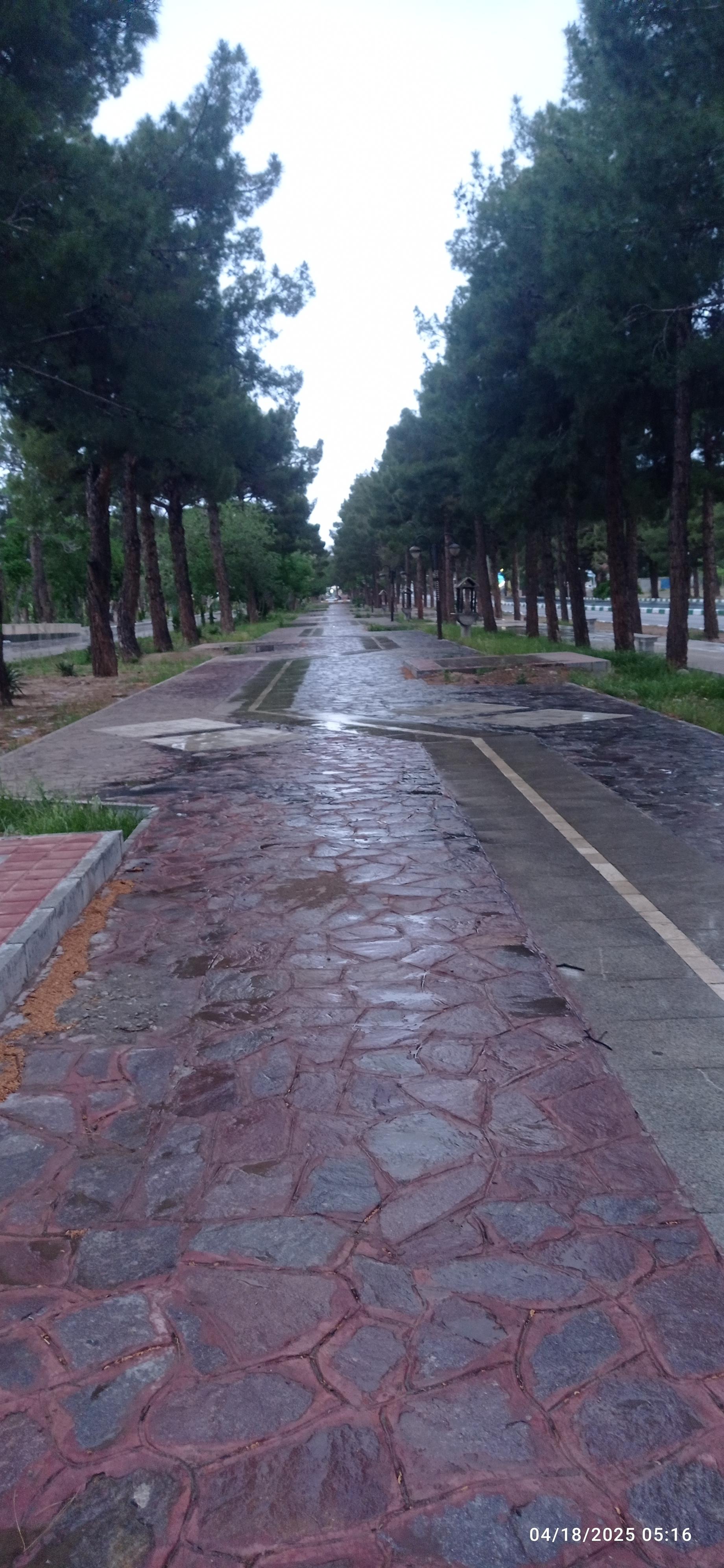 عکس پارک جنگلی سید مرتضی