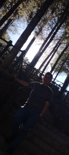 عکس پارک جنگلی سید مرتضی