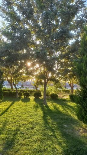 عکس پارک جنگلی سید مرتضی