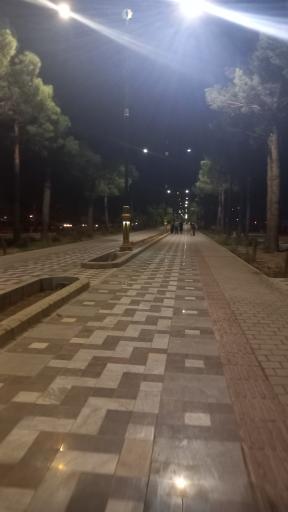 عکس پارک جنگلی سید مرتضی